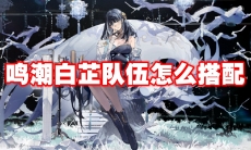 鸣潮白芷队伍怎么搭配