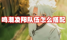 鸣潮凌阳队伍怎么搭配
