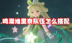 鸣潮维里奈队伍怎么搭配