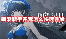 鸣潮新手开荒怎么快速升级
