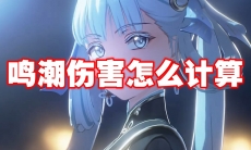 鸣潮伤害怎么计算