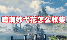 鸣潮妙弋花怎么收集