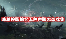 鸣潮狩影拾忆五种声骸怎么收集
