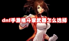 dnf手游格斗家武器怎么选择