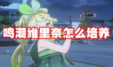 鸣潮维里奈怎么培养