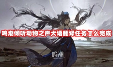 鸣潮倾听动物之声犬语翻译任务怎么完成