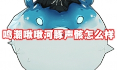 鸣潮啾啾河豚声骸怎么样