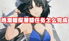 鸣潮暗探潜踪任务怎么完成