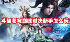 斗破苍穹巅峰对决新手怎么玩