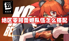 绝区零珂蕾妲队伍怎么搭配