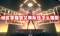 绝区零猫宫又奈队伍怎么搭配