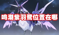 鸣潮紫羽鹭位置在哪