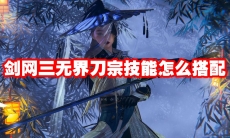 剑网三无界刀宗技能怎么搭配