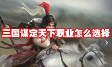 三国谋定天下职业怎么选择