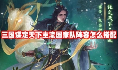 三国谋定天下主流国家队阵容怎么搭配