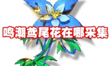 鸣潮鸢尾花在哪采集