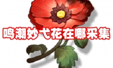 鸣潮妙弋花在哪采集