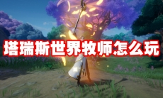 塔瑞斯世界牧师怎么玩