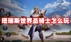 塔瑞斯世界圣骑士怎么玩