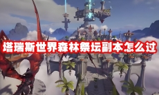 塔瑞斯世界森林祭坛副本怎么过