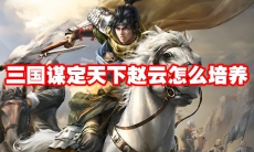 三国谋定天下赵云怎么培养