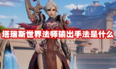 塔瑞斯世界法师输出手法是什么