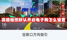 高德地图默认开启电子狗怎么设置
