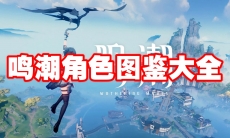 鸣潮角色图鉴大全