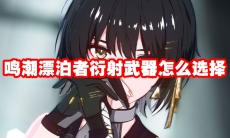 鸣潮漂泊者衍射武器怎么选择