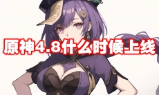 原神4.8什么时候上线