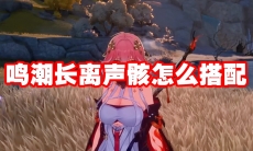 鸣潮长离声骸怎么搭配