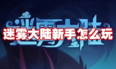 迷雾大陆新手怎么玩