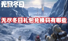 无尽冬日礼包兑换码有哪些