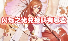 闪烁之光兑换码有哪些