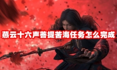 燕云十六声菩提苦海任务怎么完成