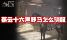 燕云十六声野马怎么驯服