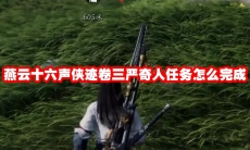 燕云十六声侠迹卷三严奇人任务怎么完成