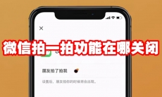 微信拍一拍功能在哪关闭