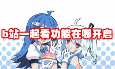 b站一起看功能在哪开启