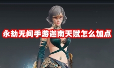 永劫无间手游迦南天赋怎么加点