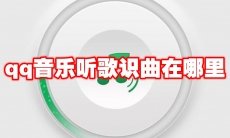 大众点评怎么开直播