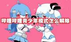 哔哩哔哩青少年模式怎么解除