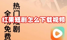 红果短剧怎么下载视频