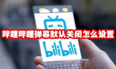 哔哩哔哩弹幕默认关闭怎么设置