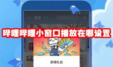 哔哩哔哩小窗口播放在哪设置