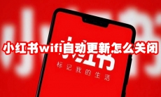 小红书wifi自动更新怎么关闭