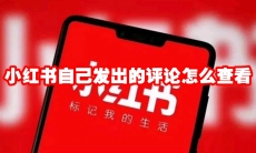 小红书自己发出的评论怎么查看