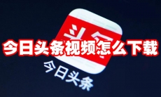 今日头条视频怎么下载