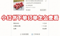 小红书下单订单怎么查看