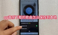qq音乐怎么下载歌曲到手机本地